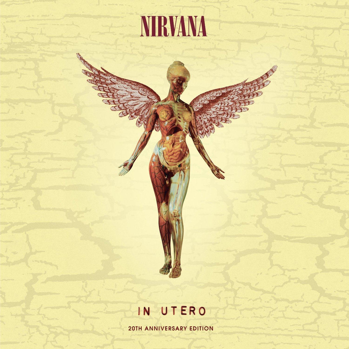 Nirvana - In Utero - 20th Anniversary Deluxe Edition Vinyl – Nirvana  Official Store