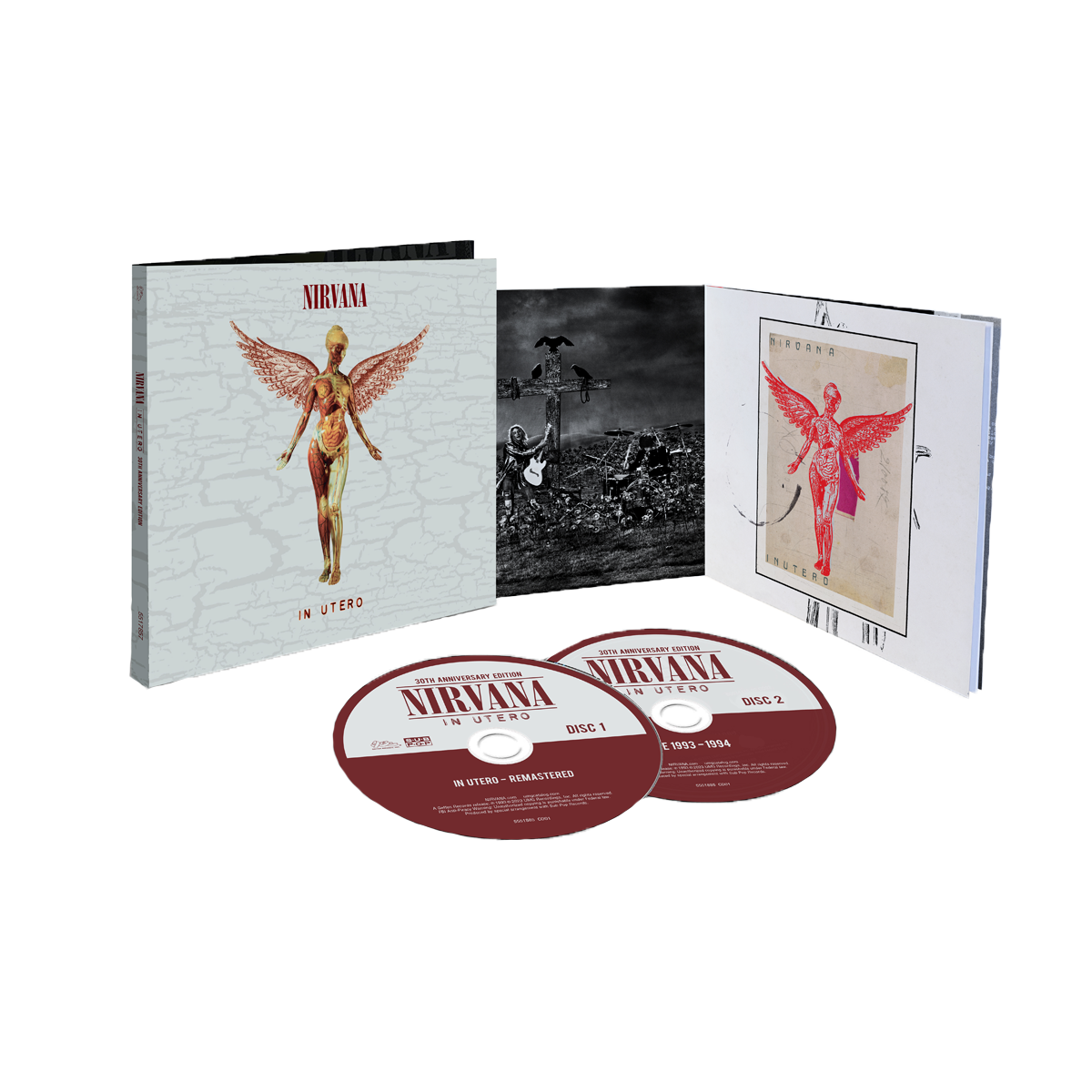Nirvana Nevermind and Incesticide - Nirvana 2 CD Album Bundling